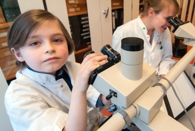 Belgique : il décroche son bac à l’âge de 8 ans Belgique : il décroche son bac à l’âge de 8 ans