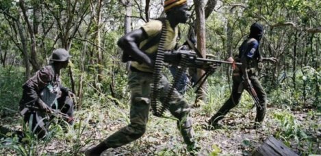 Casamance : 829 personnes tuées par des mines, 70 villages rayés de la carte Casamance : 829 personnes tuées par des mines, 70 villages rayés de la carte