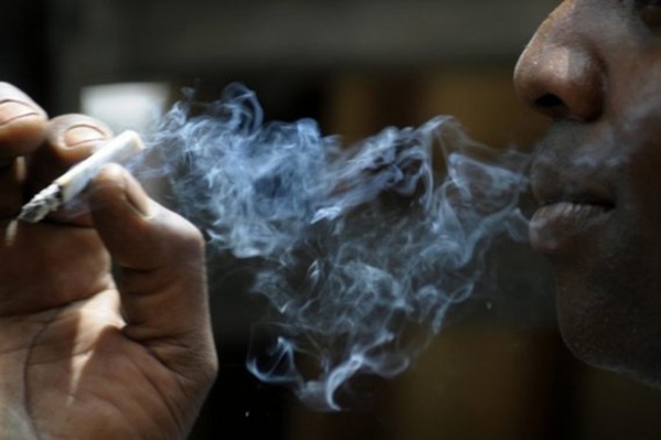 Le Directeur de l’Ocrtis ne veut plus de fumeur de chanvre indien en prison