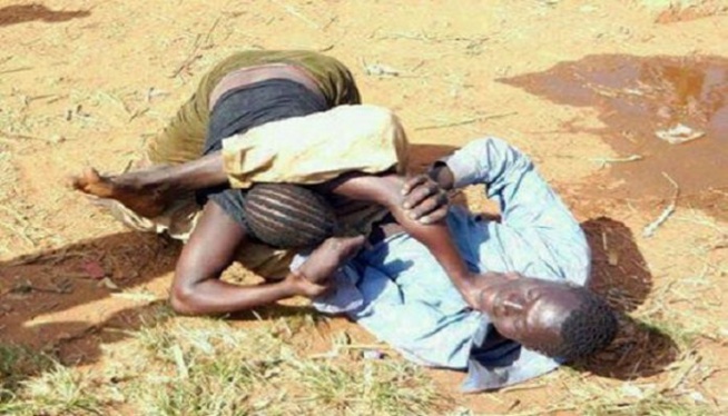 Violence et voie de fait, menace de mort à ascendant : Oumy Diouf écope d'un mois de prison avec sursis Violence et voie de fait, menace de mort à ascendant : Oumy Diouf écope d'un mois de prison avec sursis