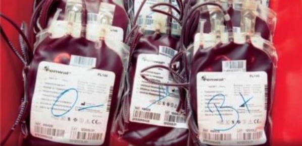 Poches de sang vendues en Gambie : Le Centre national de transfusion sanguine dément le quotidien "Les Échos" Poches de sang vendues en Gambie : Le Centre national de transfusion sanguine dément le quotidien "Les Échos"