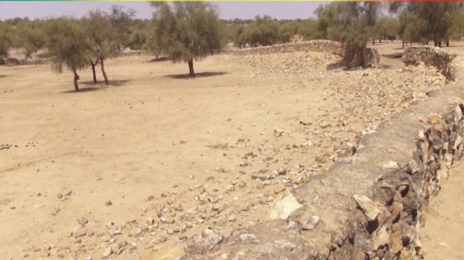 Ce qui reste de Yang-Yang, capitale de l'empire du Djolof avec sa résidence royale Ce qui reste de Yang-Yang, capitale de l'empire du Djolof avec sa résidence royale