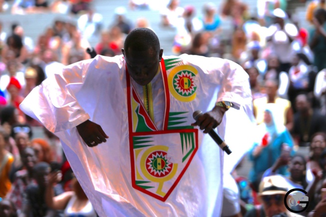 SUMMER STAGE DE NEW YORK: Pape Diouf méga star Marcus Garvey 124 st 5 ave. En images