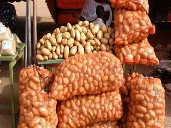 Tabaski 2018 : Le sac de pommes de terre passe de 7 000 Ã 12 000 FCFA ! Tabaski 2018 : Le sac de pommes de terre passe de 7 000 Ã 12 000 FCFA !