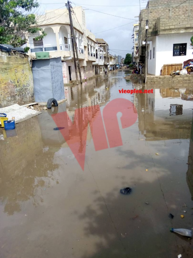 Fortes pluies à Dakar : 1 mort et 3 blessés à Pikine, Une femme de 35 ans a perdu la vie Fortes pluies à Dakar : 1 mort et 3 blessés à Pikine, Une femme de 35 ans a perdu la vie