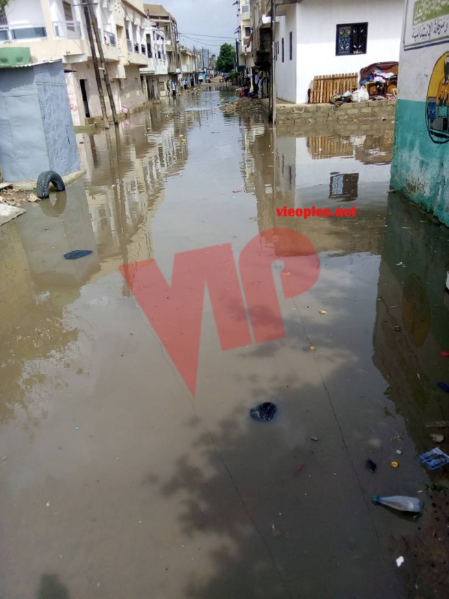 Fortes pluies à Dakar : 1 mort et 3 blessés à Pikine, Une femme de 35 ans a perdu la vie Fortes pluies à Dakar : 1 mort et 3 blessés à Pikine, Une femme de 35 ans a perdu la vie