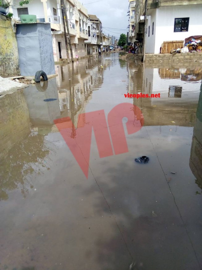 Fortes pluies à Dakar : 1 mort et 3 blessés à Pikine, Une femme de 35 ans a perdu la vie Fortes pluies à Dakar : 1 mort et 3 blessés à Pikine, Une femme de 35 ans a perdu la vie