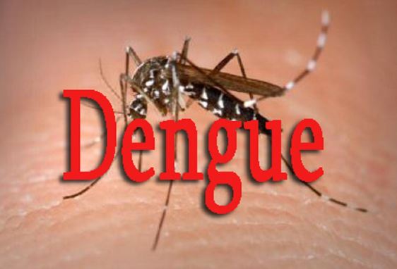 Dengue à Fatick: les malades passent de 6 à 8 Dengue à Fatick: les malades passent de 6 à 8