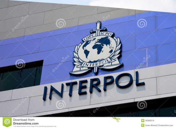 Vente de produits sexuels: Les dessous d’une intervention rondement menée par Interpol Vente de produits sexuels: Les dessous d’une intervention rondement menée par Interpol