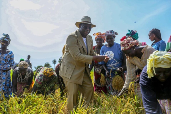 Fatick : la Convergence des Cadres républicains salue la tournée en Casamance à grande portée sociale et économique de Macky Sall Fatick : la Convergence des Cadres républicains salue la tournée en Casamance à grande portée sociale et économique de Macky Sall
