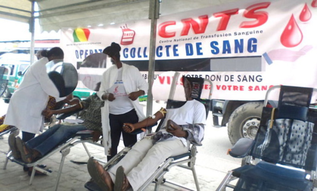 Pénurie de sang: « Les frigos sont vides » au CNTS Pénurie de sang: « Les frigos sont vides » au CNTS