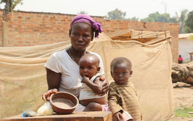 385 000 Sénégalais menacés par la crise alimentaire à Kanel, Matam et Ranérou