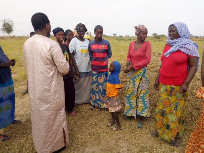 Le 1er Adjoint au maire de la commune de Sadio a choisi Bougane Gueye pour la présidentielle de 2019. Sangue Diaw a rejoint le mouvement Gueum Sa Bopp. Le 1er Adjoint au maire de la commune de Sadio a choisi Bougane Gueye pour la présidentielle de 2019. Sangue Diaw a rejoint le mouvement Gueum Sa Bopp.