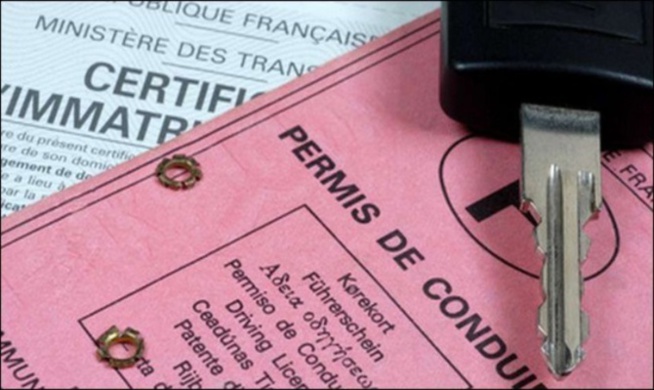 Sécurisation des transports: 200 faux permis de conduire saisis à Fatick Sécurisation des transports: 200 faux permis de conduire saisis à Fatick