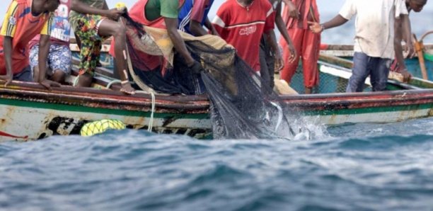 Rufisque : La rareté du carburant réduit les pêcheurs au chômage technique Rufisque : La rareté du carburant réduit les pêcheurs au chômage technique