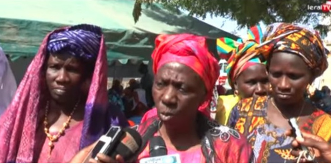 Vidéo - Adja Ndiouck Mbaye : "Certains opérateurs véreux sabotent la campagne de commercialisation de l'arachide"