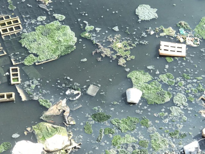 Photos : Canal d’évacuation des eaux usées barré : les habitants de la Cité Ouakam Extension pataugent dans les égouts Photos : Canal d’évacuation des eaux usées barré : les habitants de la Cité Ouakam Extension pataugent dans les égouts