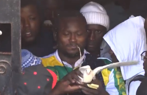 Balla Gaye 2 vs Modou Lô : Ambiance chez « Kharagne Lô » aux Parcelles Assainies… Tout ce que vous n’avez pas vu en Images, lors de son départ