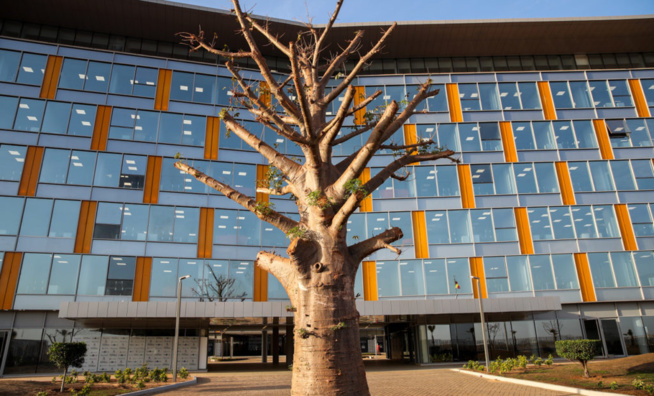 Le nouveau visage de Diamniadio Inauguration de la 2ème Sphère Ministérielle de Diamniadio Le nouveau visage de Diamniadio Inauguration de la 2ème Sphère Ministérielle de Diamniadio
