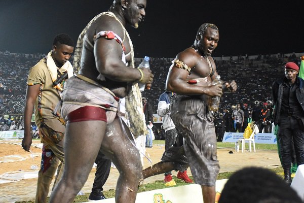 Balla Gaye 2-Modou Lô : voici les chiffres astronomiques récoltés par le Pay-per-view Balla Gaye 2-Modou Lô : voici les chiffres astronomiques récoltés par le Pay-per-view