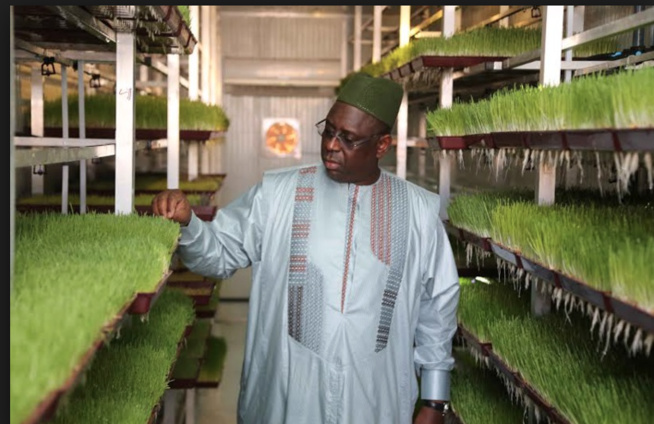 VIDEO - Macky Sall: 'le pont de Rosso sera érigé très vite' VIDEO - Macky Sall: 'le pont de Rosso sera érigé très vite'