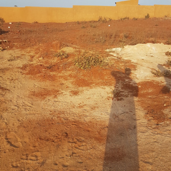 Bonne Affaires: TERRAIN 150 M2 A VENDRE A SEBIKHOTANE EN FACE DU NOUVEAU COLLEGE. 76 573 30 76