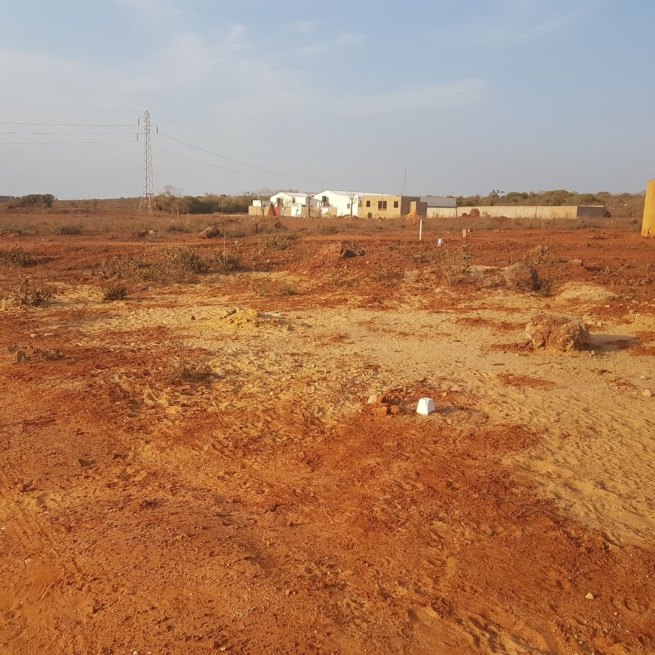 Bonne Affaires: TERRAIN 150 M2 A VENDRE A SEBIKHOTANE EN FACE DU NOUVEAU COLLEGE. 76 573 30 76 Bonne Affaires: TERRAIN 150 M2 A VENDRE A SEBIKHOTANE EN FACE DU NOUVEAU COLLEGE. 76 573 30 76