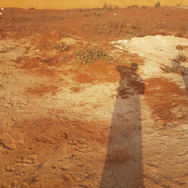 Bonne Affaires: TERRAIN 150 M2 A VENDRE A SEBIKHOTANE EN FACE DU NOUVEAU COLLEGE. 76 573 30 76 Bonne Affaires: TERRAIN 150 M2 A VENDRE A SEBIKHOTANE EN FACE DU NOUVEAU COLLEGE. 76 573 30 76