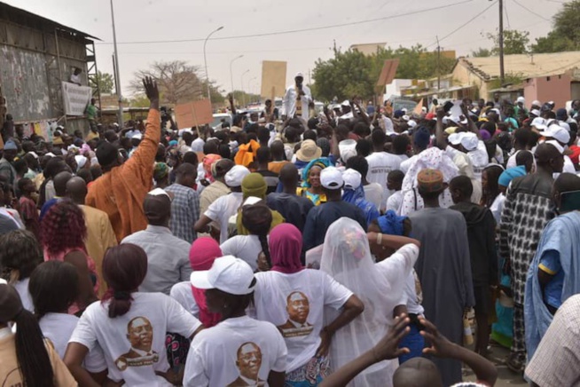 Boun DIONNE : Macky Fait Face À 2 «Tocards» Et 2 «Outsiders» Boun DIONNE : Macky Fait Face À 2 «Tocards» Et 2 «Outsiders»