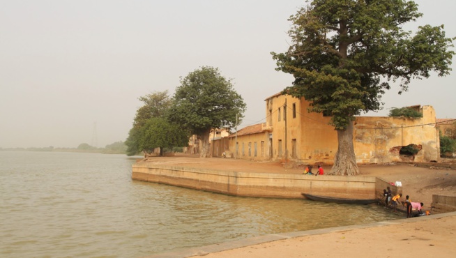 La razzia de Macky Sall à Dagana malgré le consigne de vote de Oumar Sarr contre Benno Bokk Yakaar