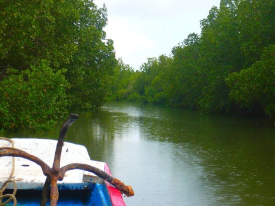 Casamance : Une fille de 10 ans tombe et morte dans un canal Casamance : Une fille de 10 ans tombe et morte dans un canal