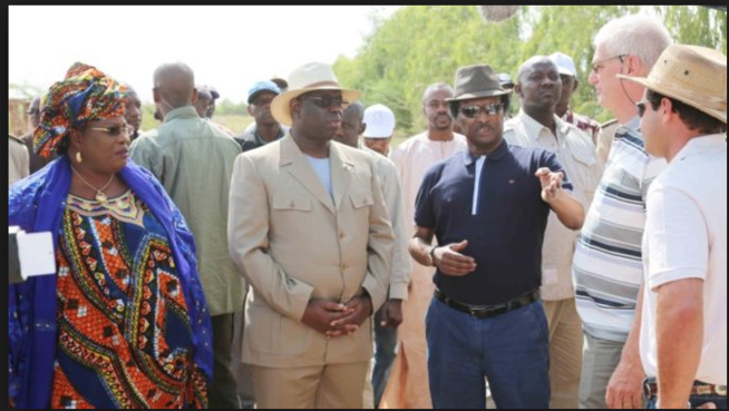 Les hommes qui contrôlent le système: Baba Diaw, l’incontournable pétrolier