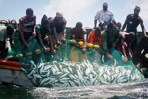 Expulsion des travailleurs sénégalais: les pêcheurs mauritaniens en grève
