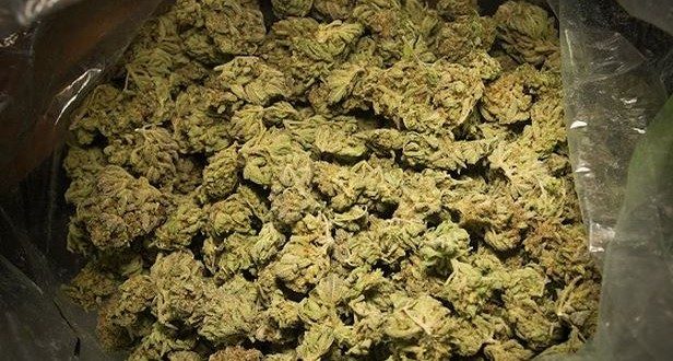 Fatick : Une tonne de drogue et des faux médicaments incinérés le 4 avril Fatick : Une tonne de drogue et des faux médicaments incinérés le 4 avril