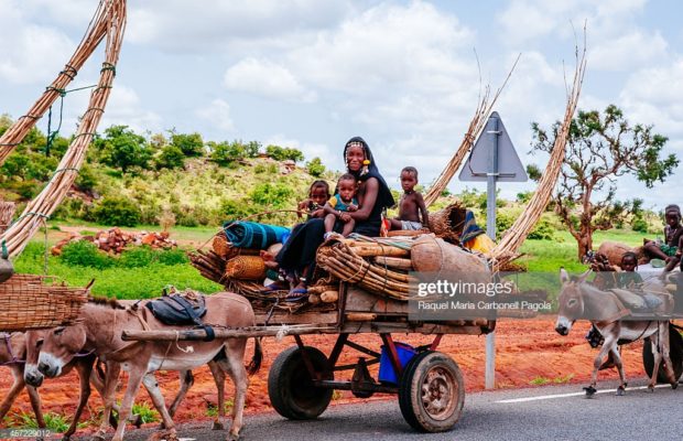 Mali : « Le problème de fond, c’est que les Peuls se sentent abandonnés » Mali : « Le problème de fond, c’est que les Peuls se sentent abandonnés »