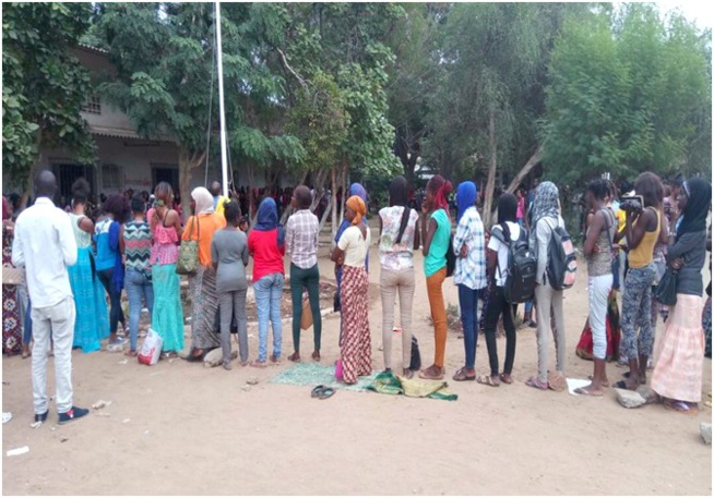 Afip Canada: une femme, sa mère et son frère, délestent 200 étudiants de 150 millions Afip Canada: une femme, sa mère et son frère, délestent 200 étudiants de 150 millions