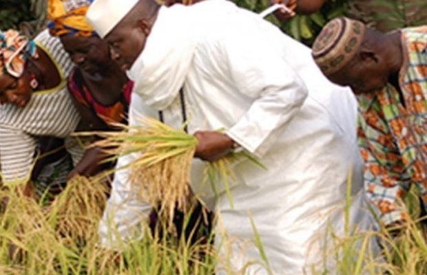 Découvrez la somme astronomique que Yayah Jammeh aurait volé en Casamance. Découvrez la somme astronomique que Yayah Jammeh aurait volé en Casamance.
