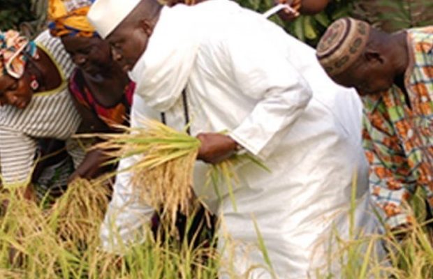 Découvrez la somme astronomique que Yayah Jammeh aurait volé en Casamance.