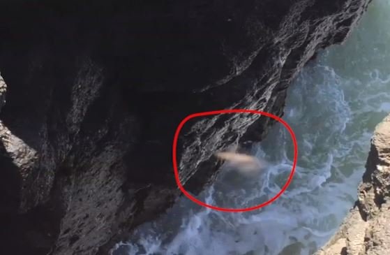 Appel Seydina Limamou Laye: miracle à Ngor, Une lumière surgit des vagues Appel Seydina Limamou Laye: miracle à Ngor, Une lumière surgit des vagues