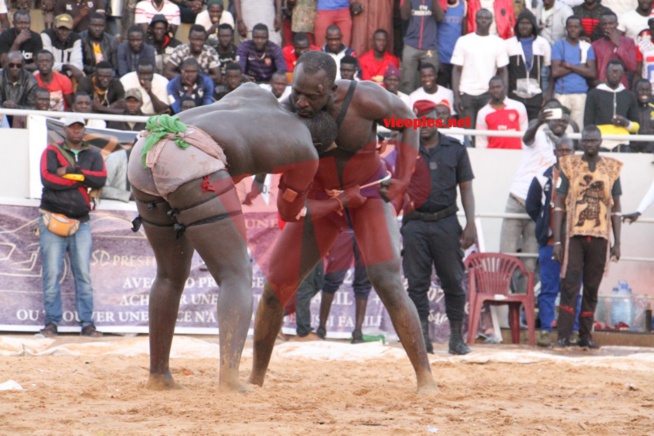 Wouly Wouly « dégrade » le policier Big Pato, tout ce que vous n’avez pas vu en images Wouly Wouly « dégrade » le policier Big Pato, tout ce que vous n’avez pas vu en images