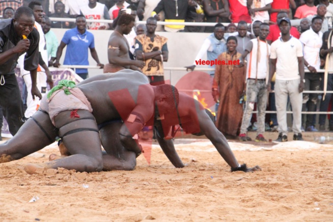 Wouly Wouly « dégrade » le policier Big Pato, tout ce que vous n’avez pas vu en images Wouly Wouly « dégrade » le policier Big Pato, tout ce que vous n’avez pas vu en images