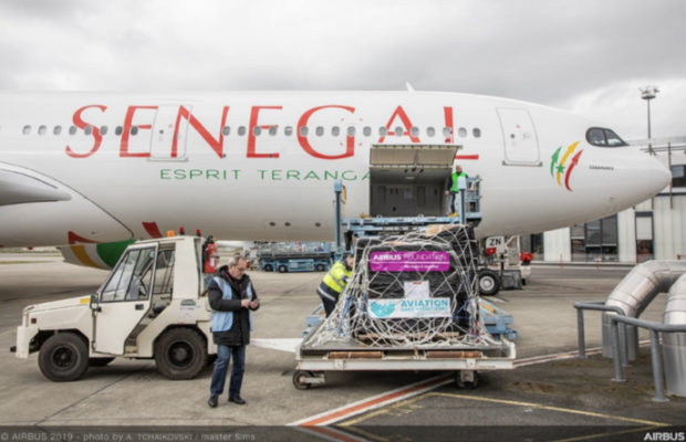 Air Sénégal : le nouvel A330 néo cloué au sol pendant 10 h, Philippe Bohn loue un avion à 200 millions FCFA