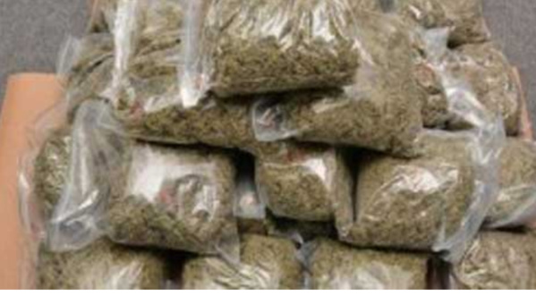 Saisine de drogue à Foundiougne: La valeur s’estime à 13 740 000 F Cfa Saisine de drogue à Foundiougne: La valeur s’estime à 13 740 000 F Cfa