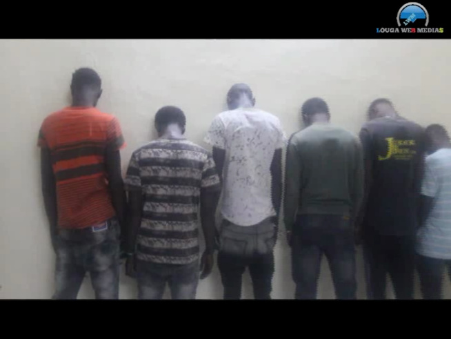 LOUGA: LA POLICE DÉMANTÈLE UN GANG DE 6 MALFAITEURS ÂGÉS DE 24 À 30 ANS LOUGA: LA POLICE DÉMANTÈLE UN GANG DE 6 MALFAITEURS ÂGÉS DE 24 À 30 ANS