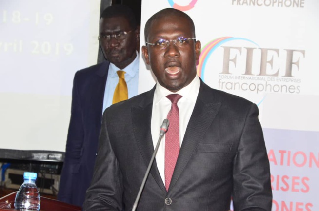 90 IMAGES: Cérémonie d'ouverture du Forum International des Entreprises Francophones par le MEDS du président Mbagnick Diop.