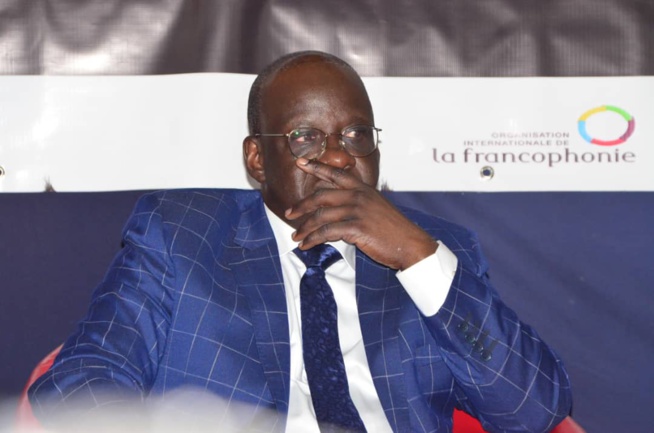 90 IMAGES: Cérémonie d'ouverture du Forum International des Entreprises Francophones par le MEDS du président Mbagnick Diop.