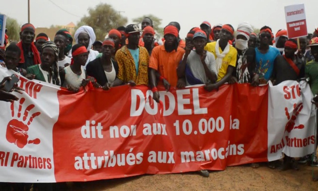 Dodel : La Cour Suprême annule l’affection d’un terrain de 10.000 hectares au groupe Afri Partners Dodel : La Cour Suprême annule l’affection d’un terrain de 10.000 hectares au groupe Afri Partners