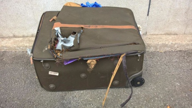 Dakar : un colis suspect découvert près de l’hôtel de ville Dakar : un colis suspect découvert près de l’hôtel de ville