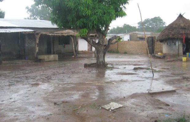 Hivernage : Les premières gouttes de pluie sont tombées Hivernage : Les premières gouttes de pluie sont tombées