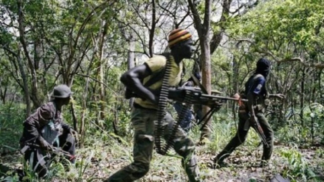 URGENT-Casamance : Seize démineurs enlevés par le MFDC…